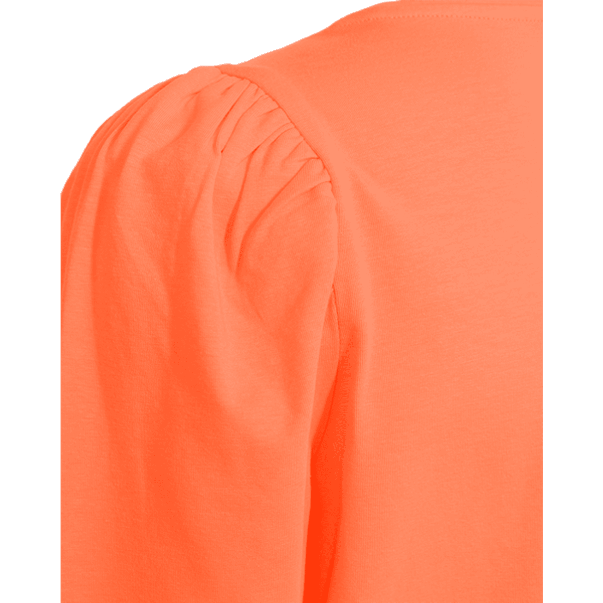 FQFENJA-TEE Fresh Salmon